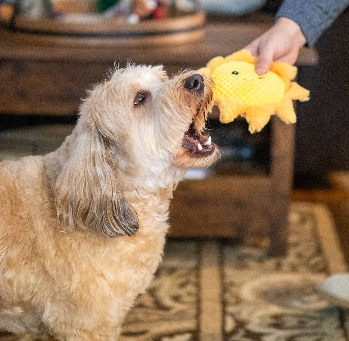 ThoozyPet Sun Plush Dog Toy 8"