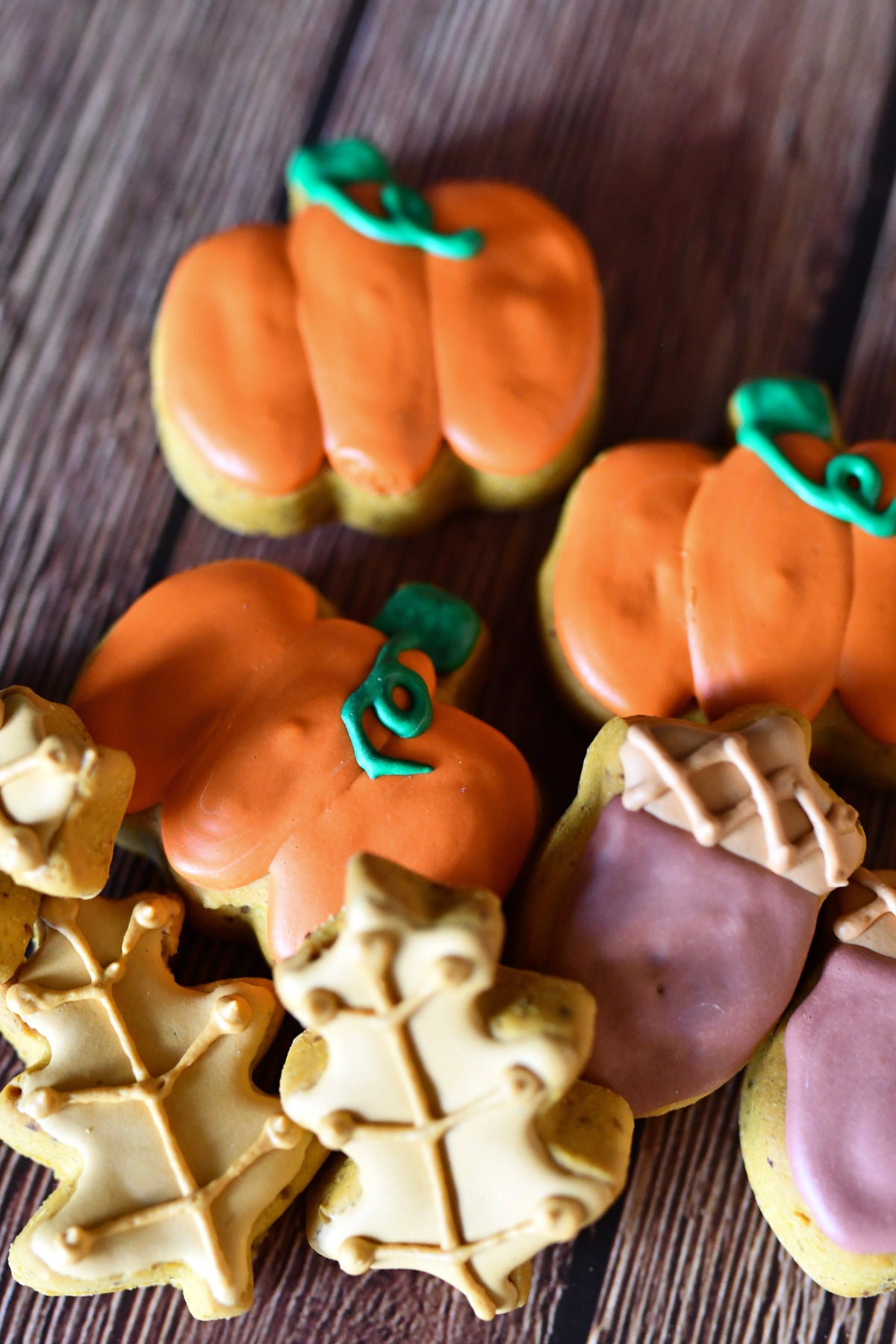 Fall Doggy Cookies