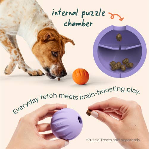 Flyball Treat Dispensing Dog Ball