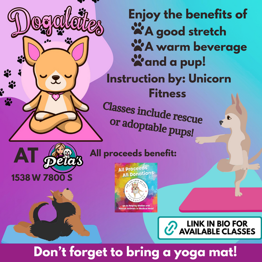 Dogalates September 20th  10:30-11:30