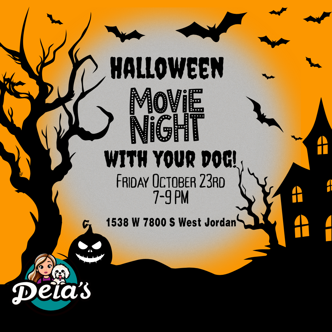 🎃 Spooky Movie Night with Your Pup 👻