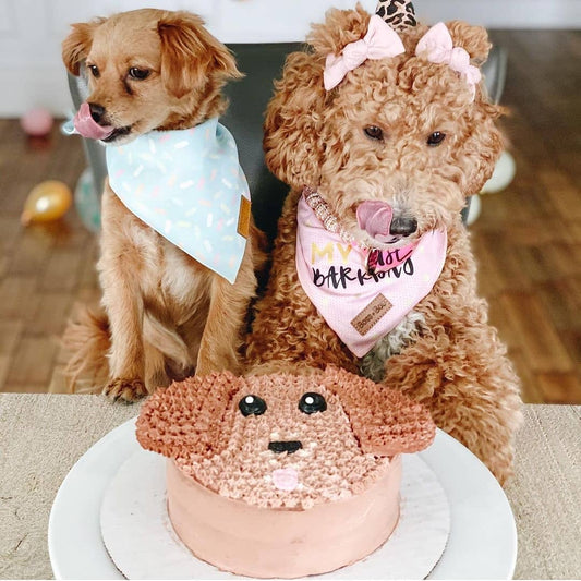 Pup Face Cake