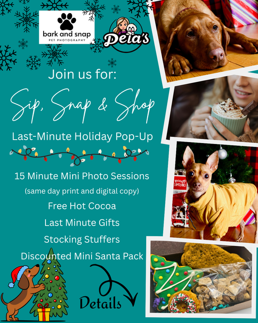 Sip, Snap & Shop: Last-Minute Holiday Event
