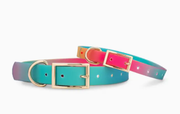 Waterproof Dog Collar - Pippa
