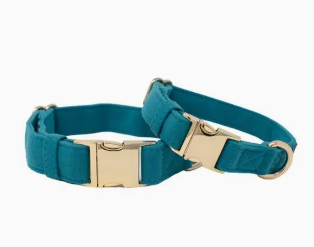 Hayden Dog Collar | Teal Dog Collar | Dog Collar