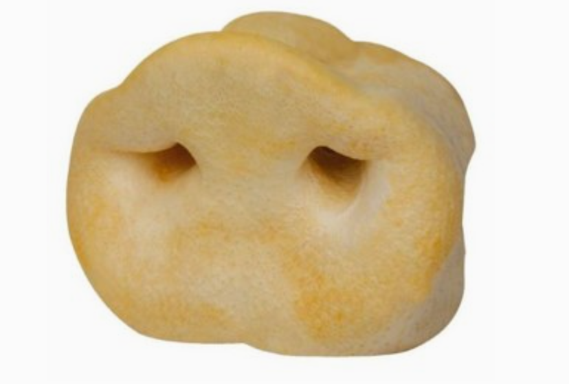 Puffy Pig Snouts