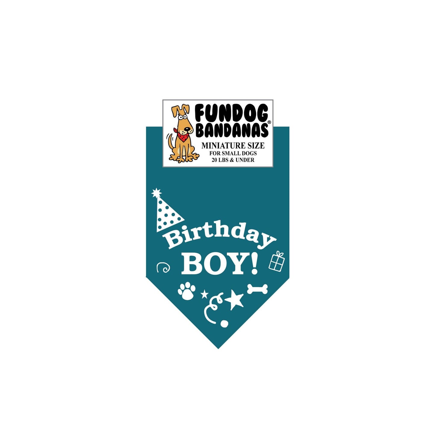 Birthday Boy Bandana