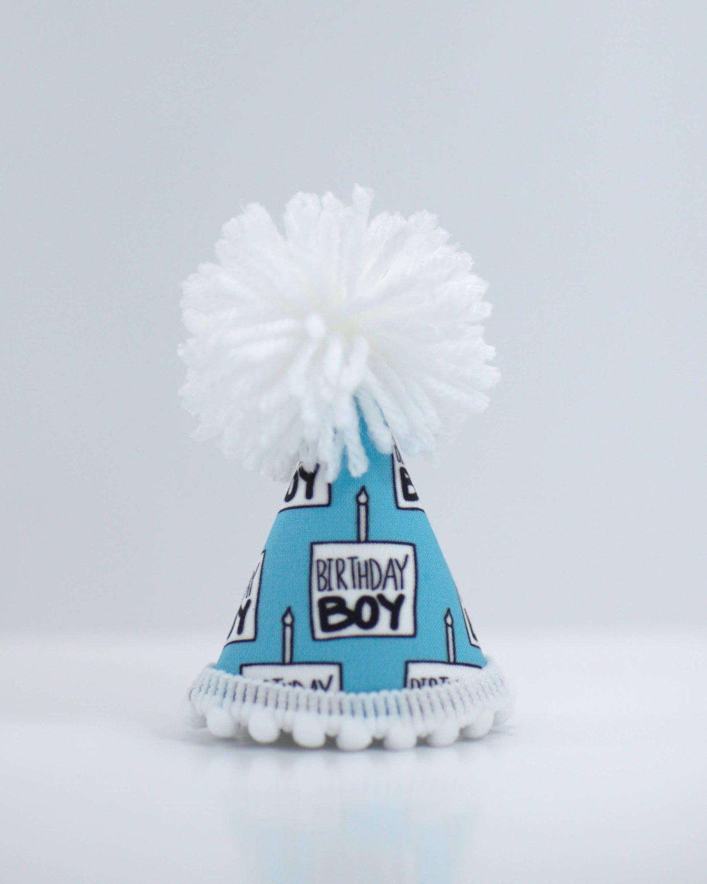 Birthday Boy Black Ink Party Hat