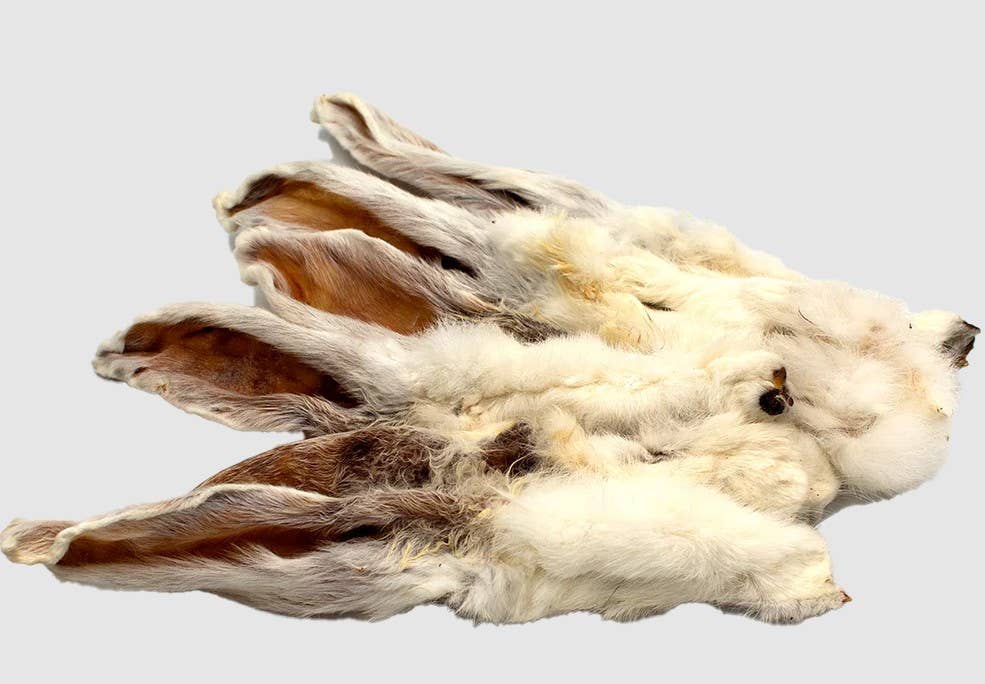 Hairy Rabbit Ears