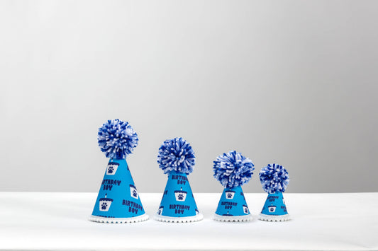 Birthday Blue Boy  Ink Party Hat 