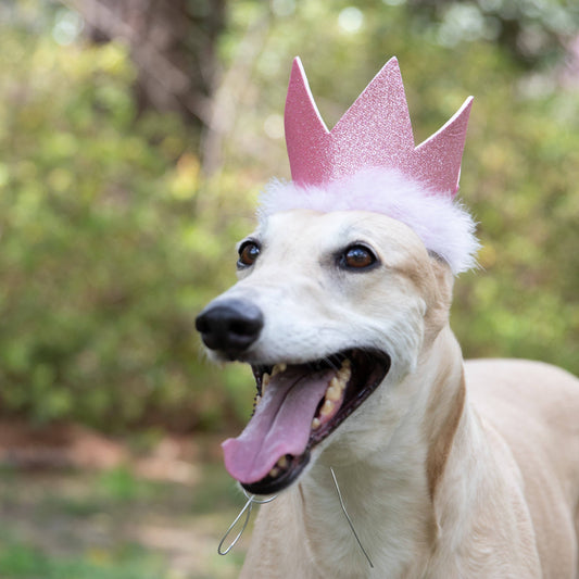 Party Crown Pink with SnugFit®