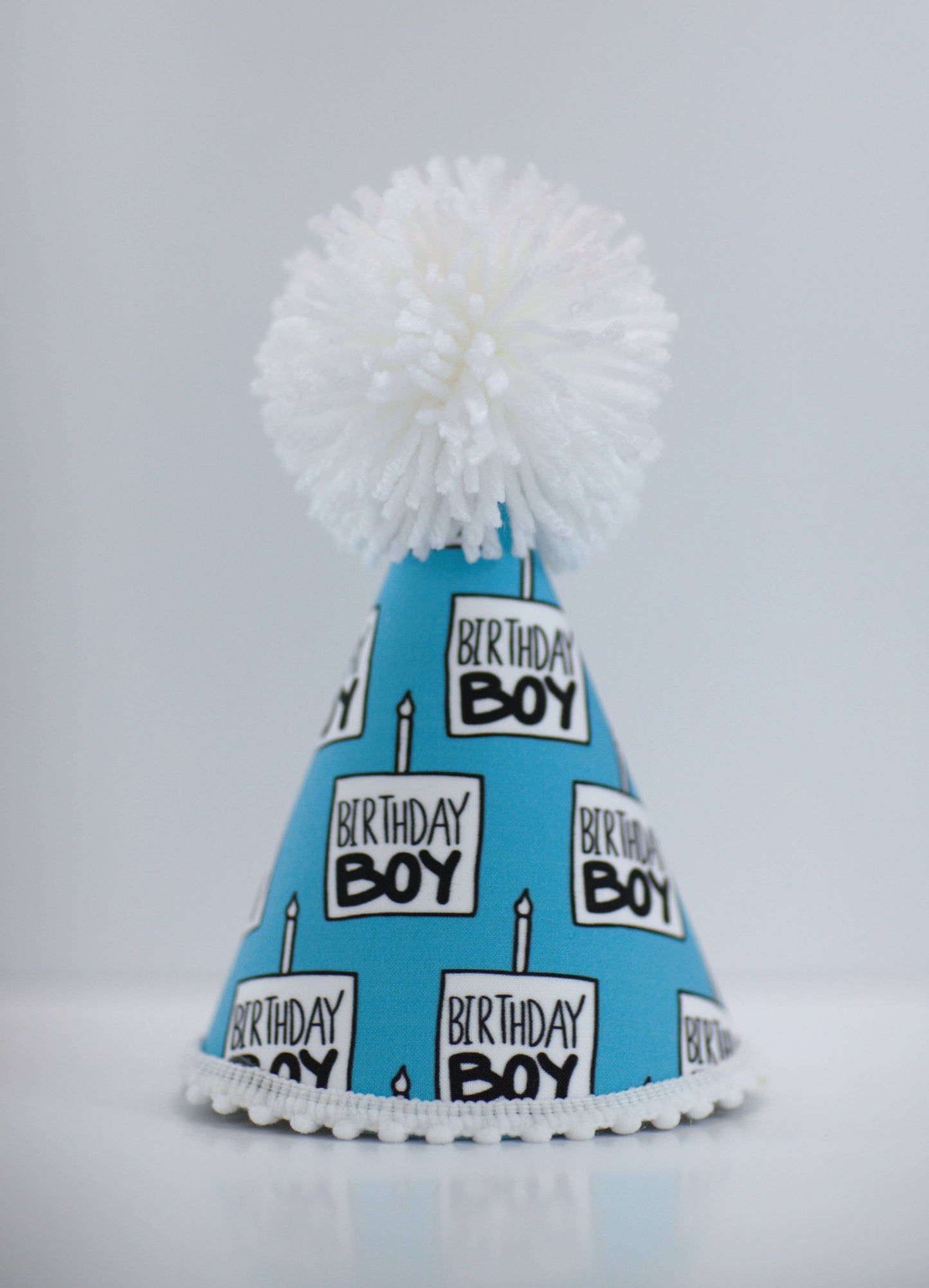 Birthday Boy Black Ink Party Hat