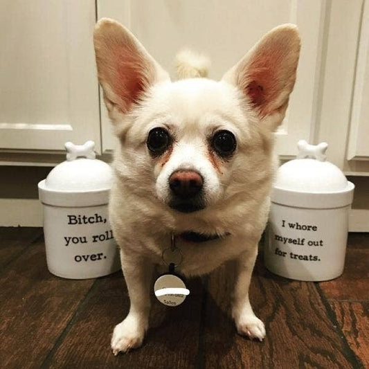 I Whore Myself Out for Treats Dog Treat Jar