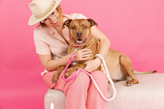 Maggie Rope Dog Leash | Dog Leash | Pink Ombre Leash