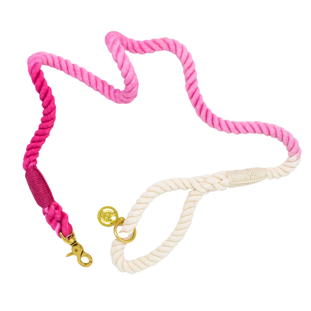 Maggie Rope Dog Leash | Dog Leash | Pink Ombre Leash