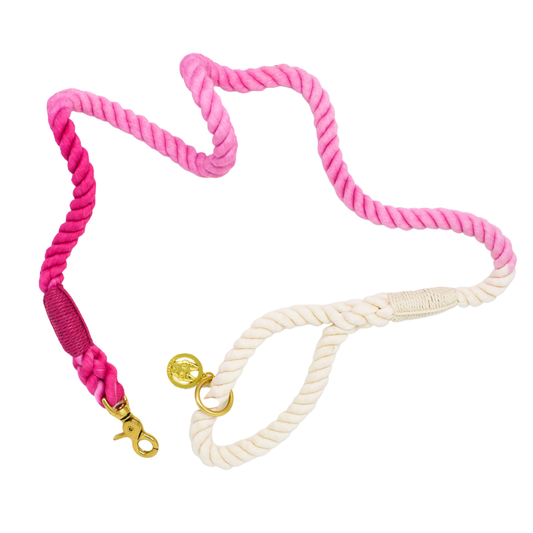 Maggie Rope Dog Leash | Dog Leash | Pink Ombre Leash