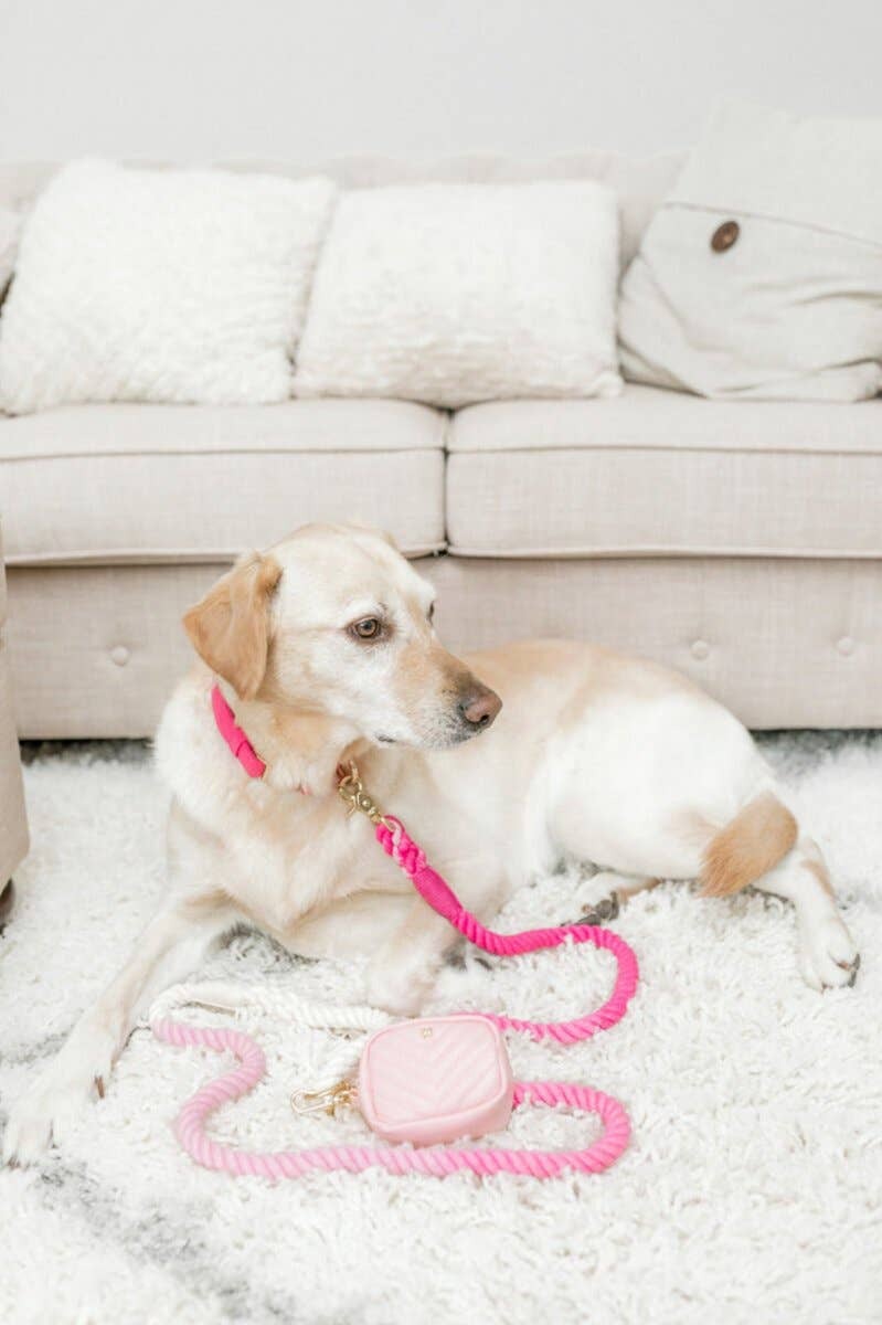 Maggie Rope Dog Leash | Dog Leash | Pink Ombre Leash