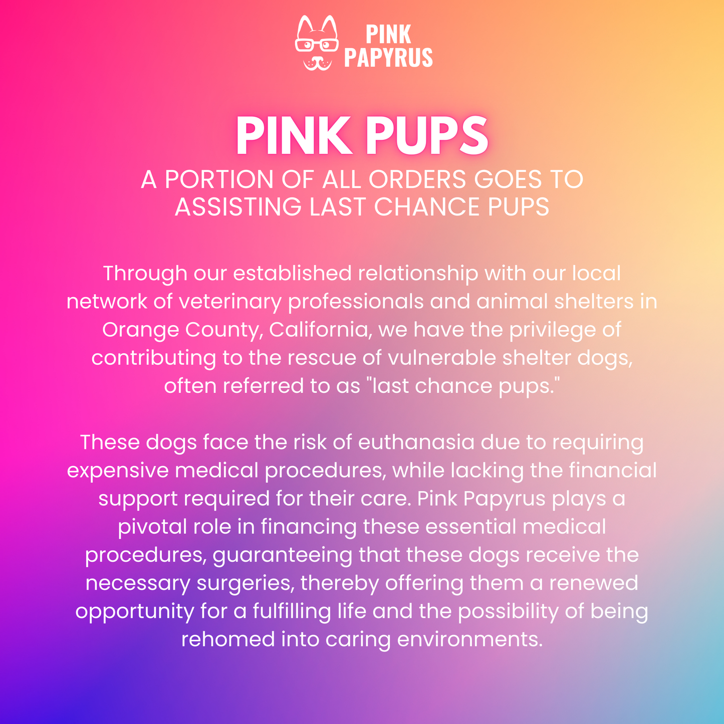 Maggie Rope Dog Leash | Dog Leash | Pink Ombre Leash