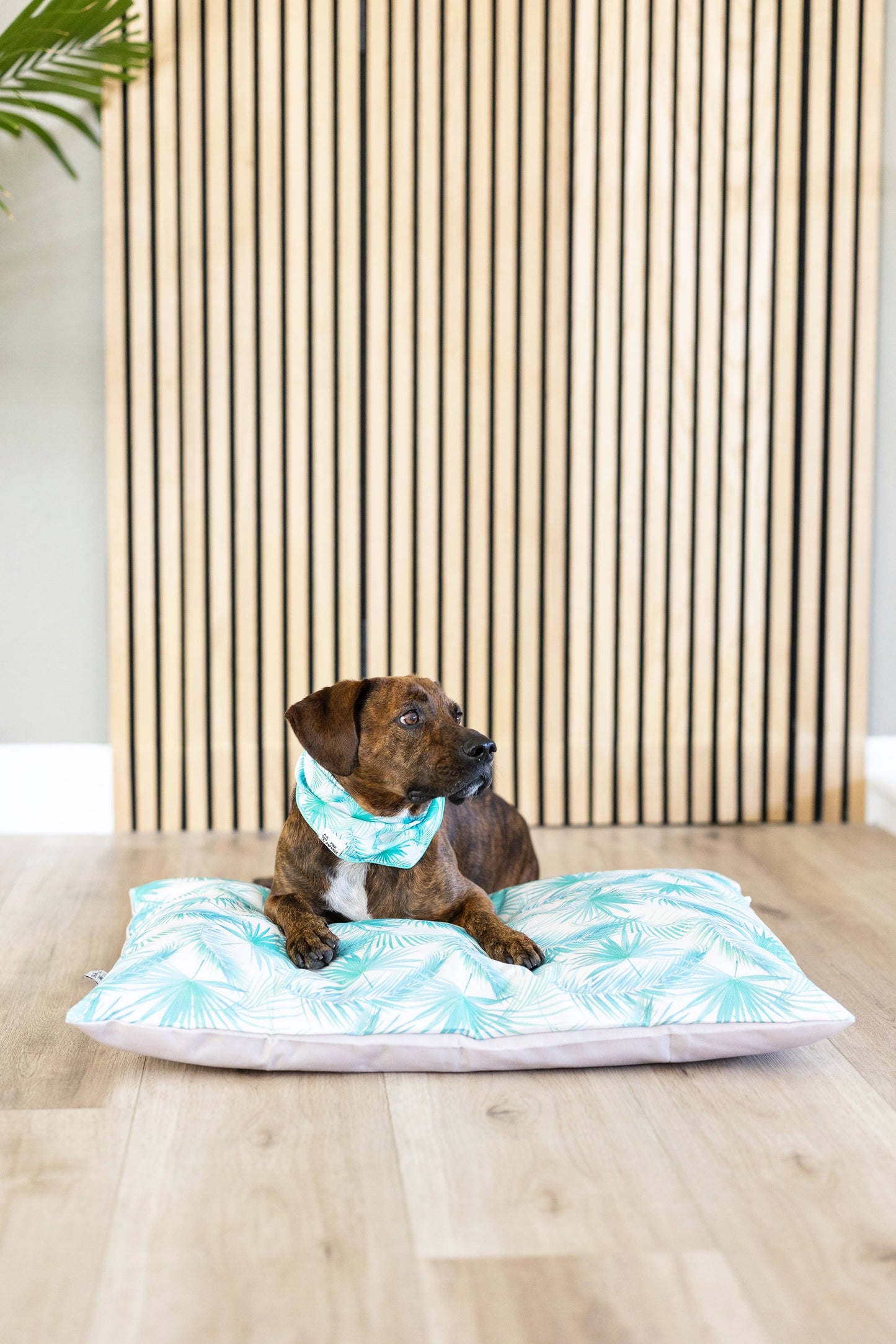 Washable Pet Bed Cover - Capri