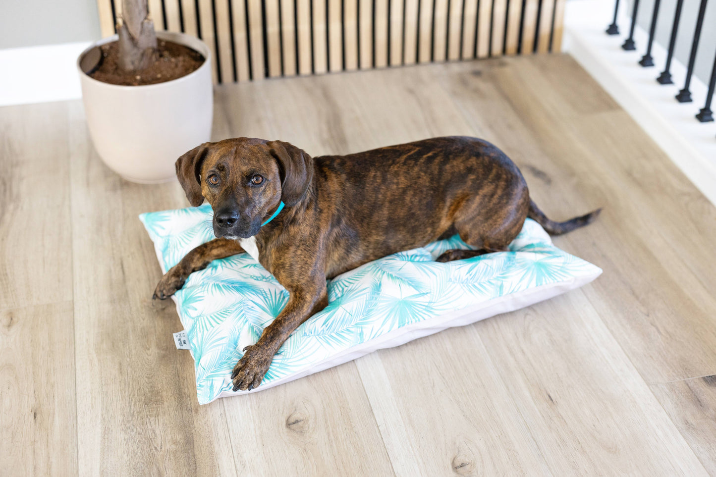 Washable Pet Bed Cover - Capri