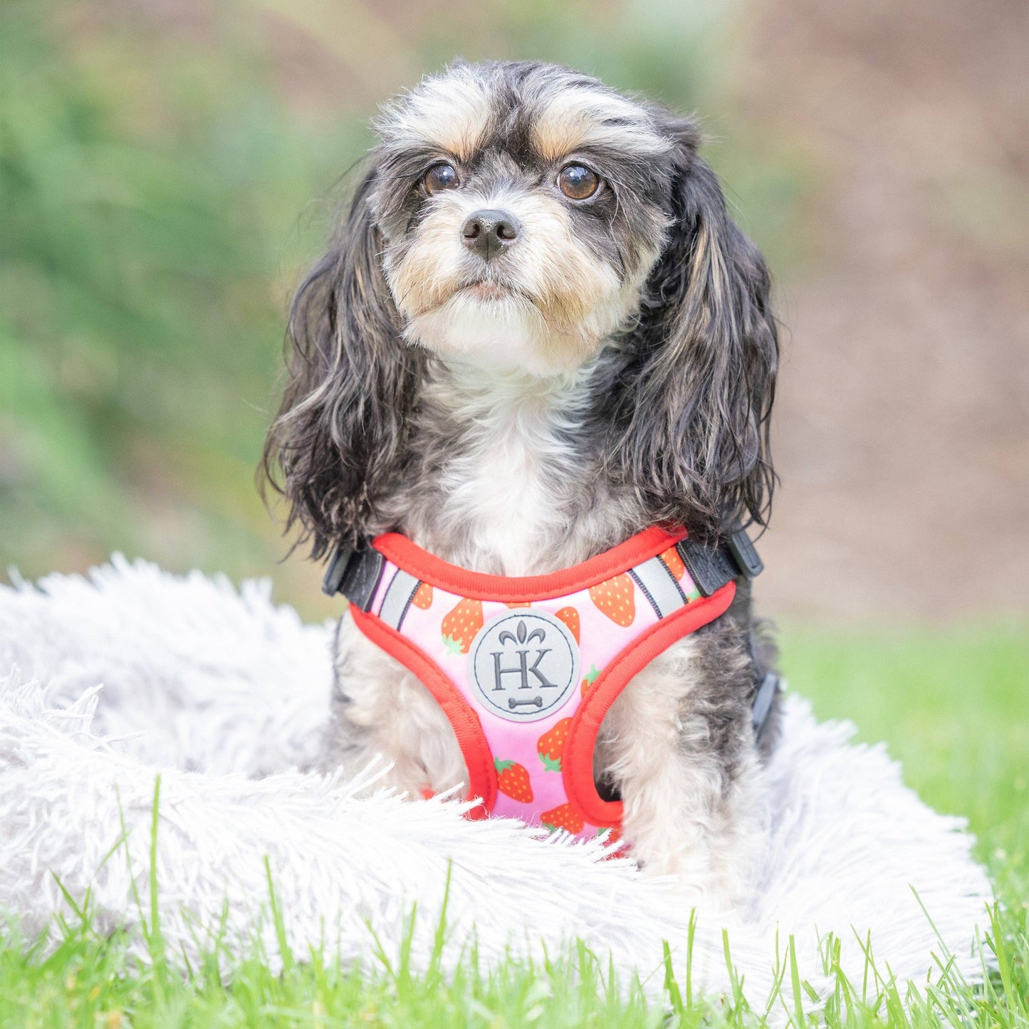 H&K Strawberries Printed Scout Harness