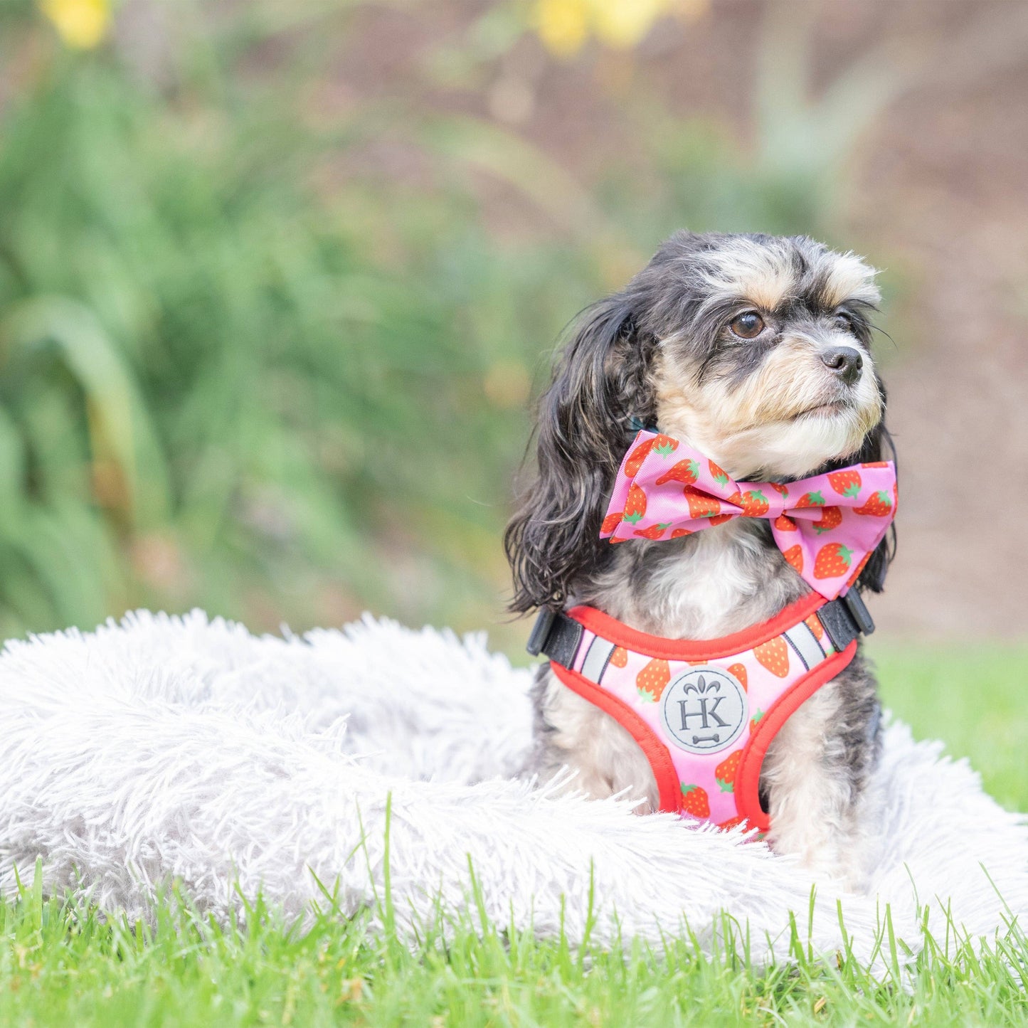 H&K Strawberries Printed Scout Harness