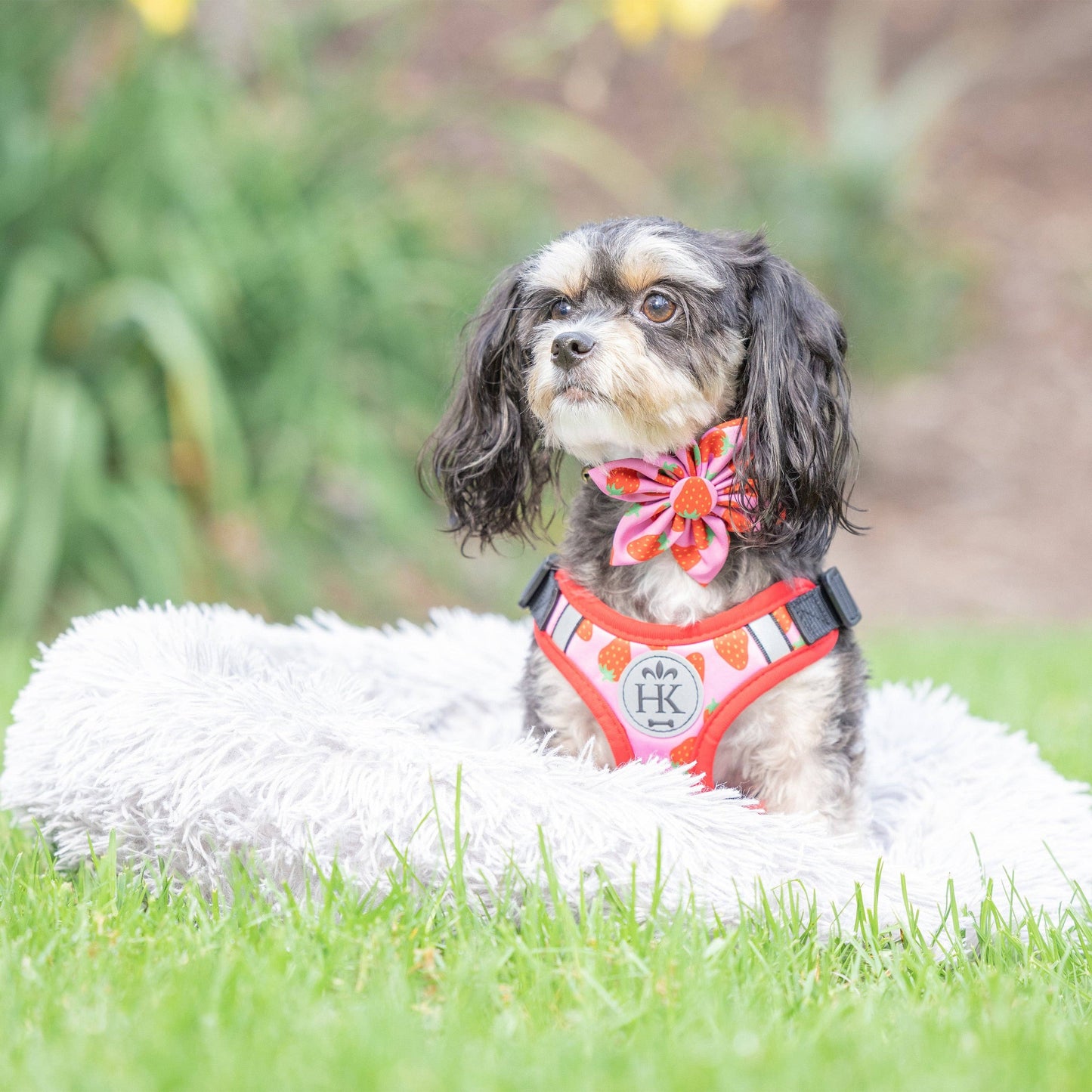 H&K Strawberries Printed Scout Harness