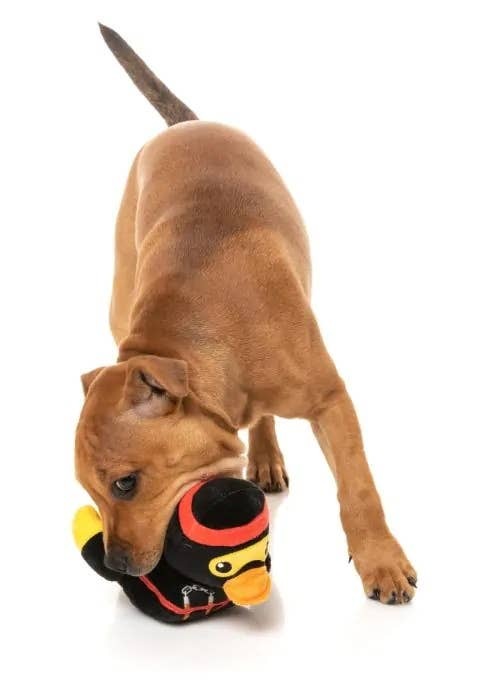 FuzzYard Quackie Chan Plush Dog Toy