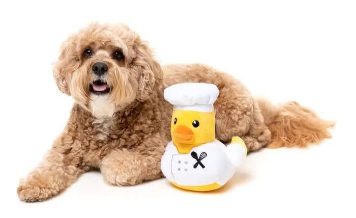 FuzzYard Gordon Quacksay Plush Dog Toy