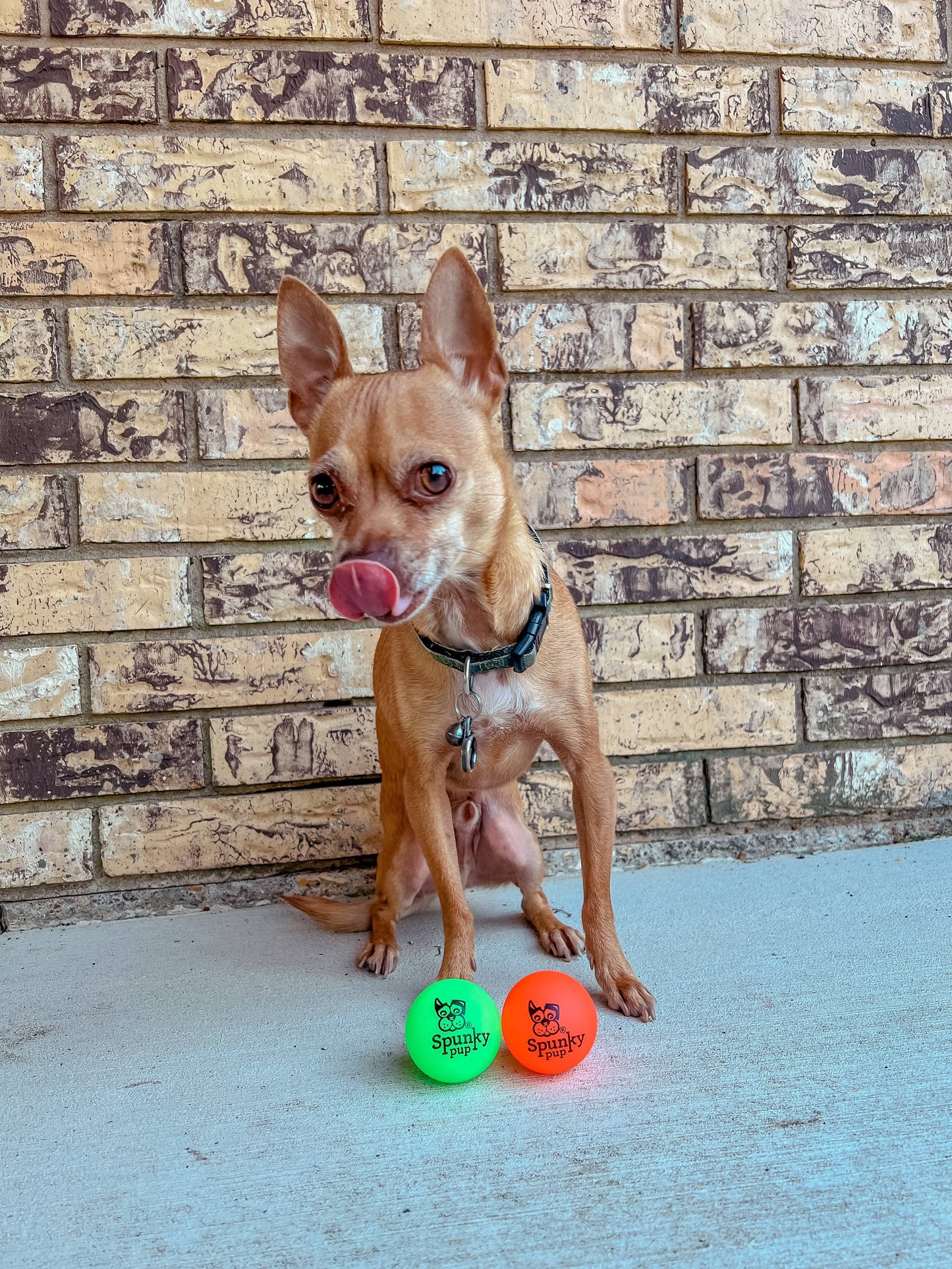 Fetch and Glow Ball Medium