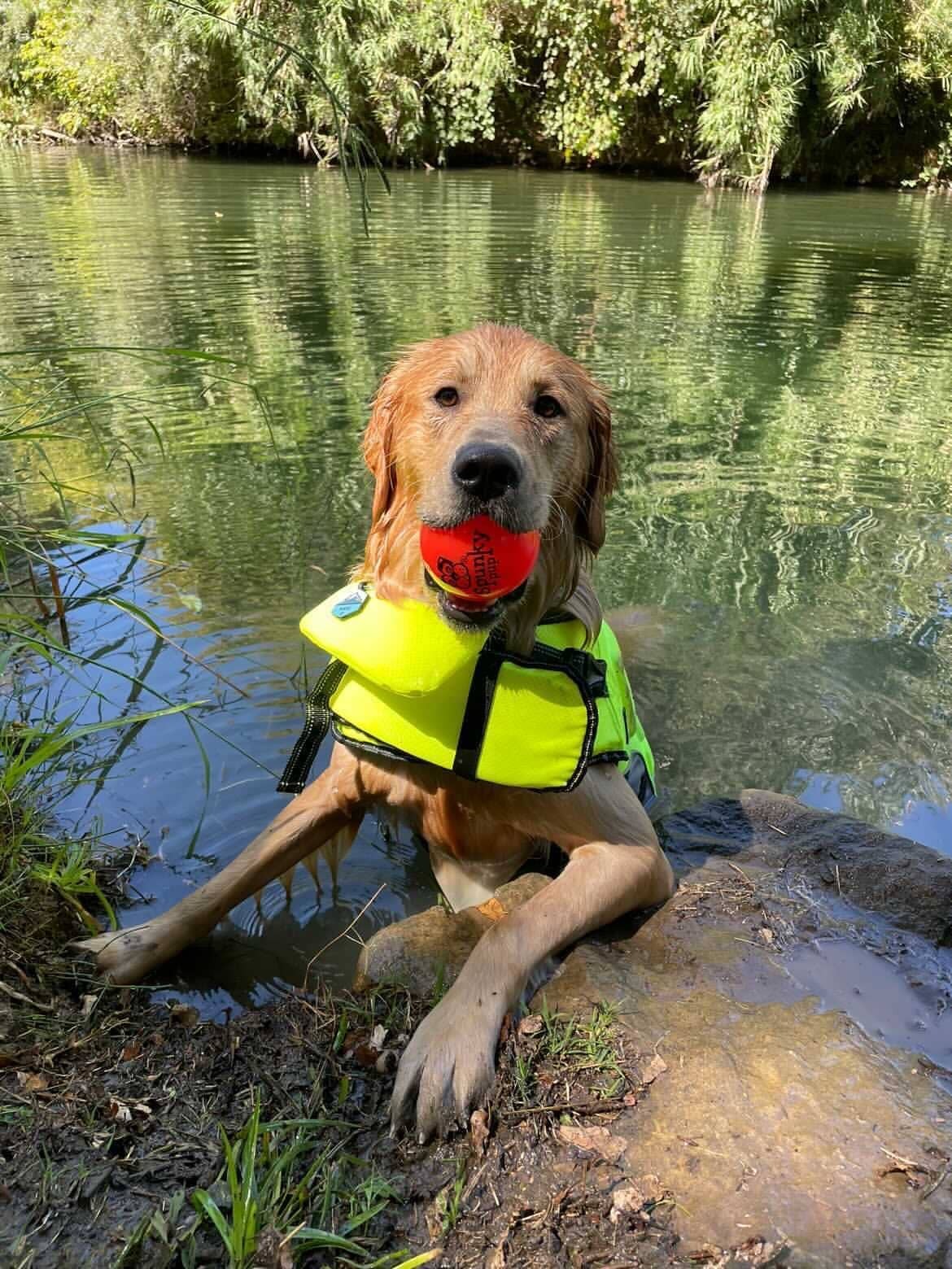 Fetch and Glow Ball Medium