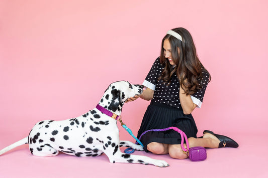 Pixie Rope Dog Leash | Dog Leash | Ombre Leash 4ft