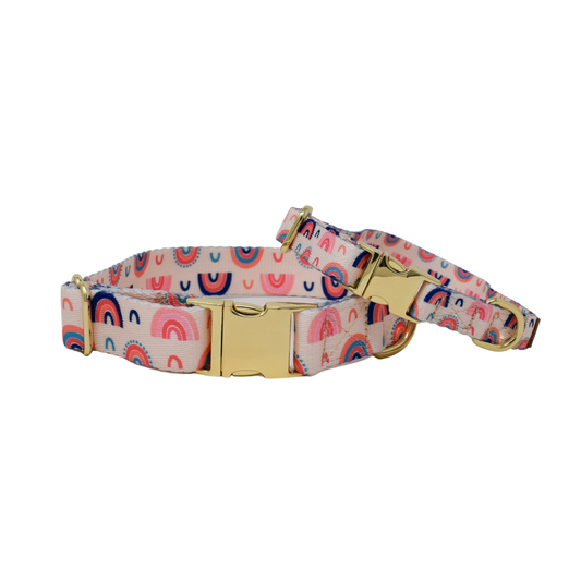 Clarke Dog Collar | Rainbow Dog Collar | Dog Collar