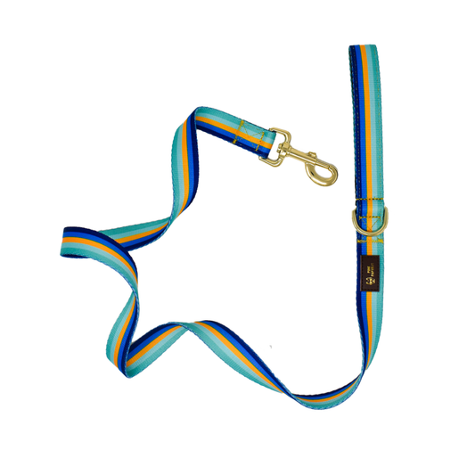 Milo Dog Leash | Blue & Green Dog Leash | Stripe Dog Lead