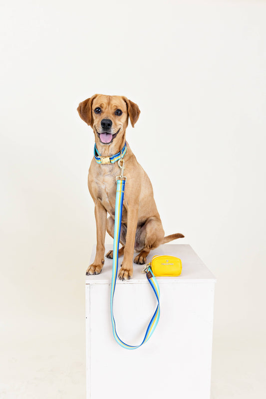 Milo Dog Leash | Blue & Green Dog Leash | Stripe Dog Lead