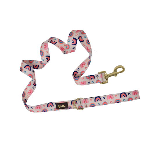 Clarke Dog Leash | Rainbow Dog Leash | Dog Lead