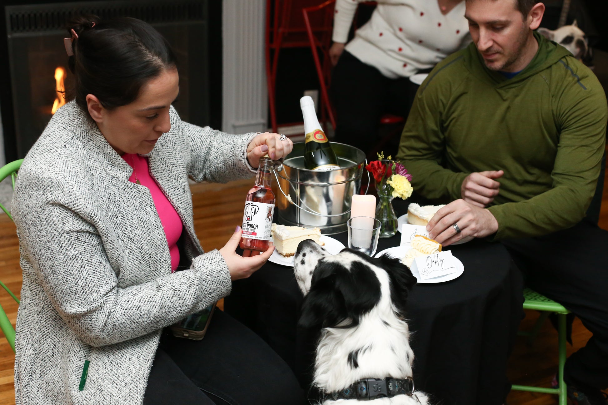 Date Night with your Dog July 25 *